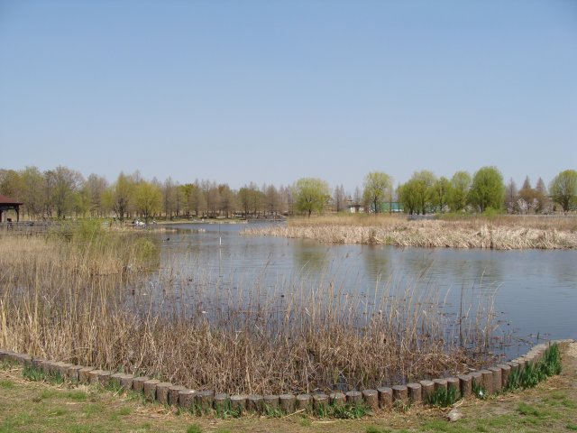 toneri4.jpg