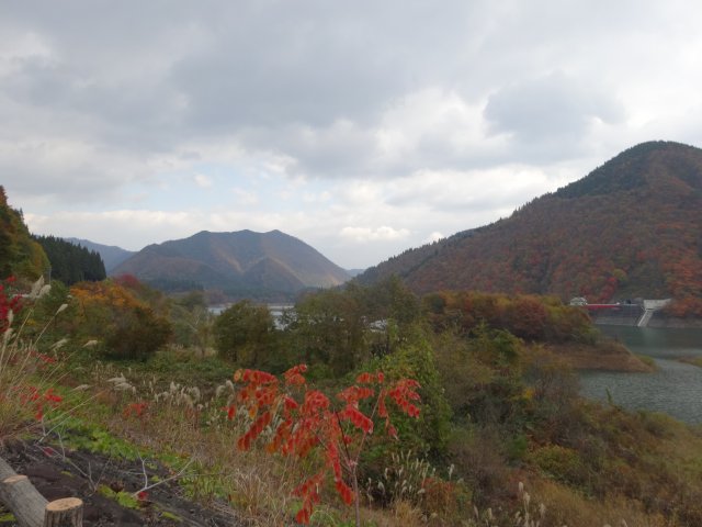 2015-goshiki1.jpg