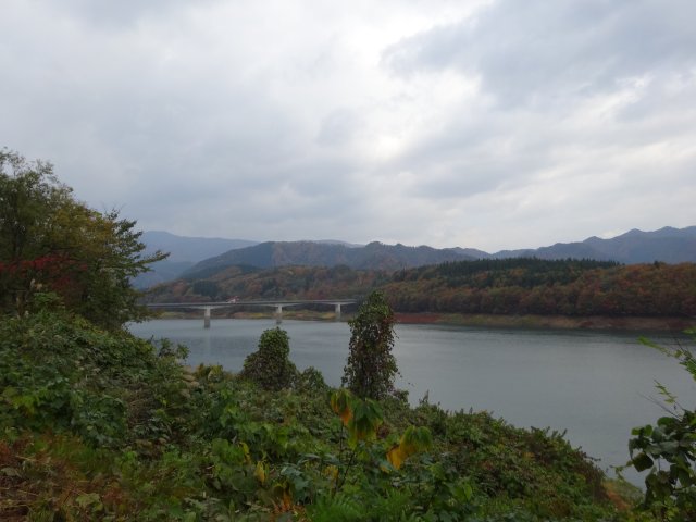 2015-goshiki2.jpg