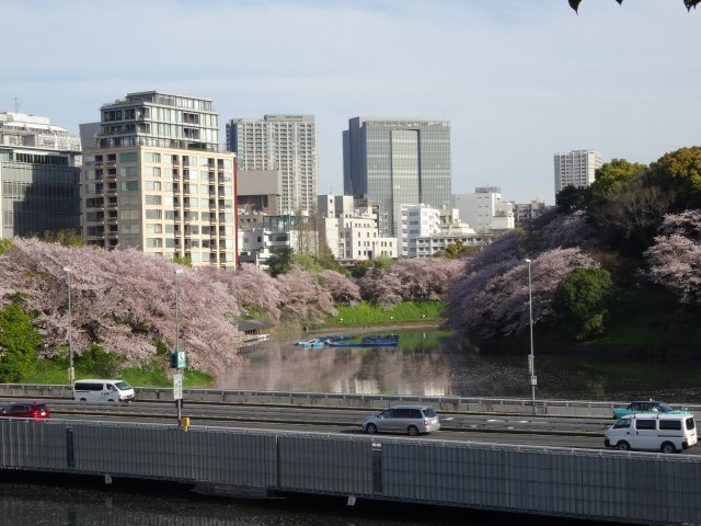 20160408sakura1.jpg