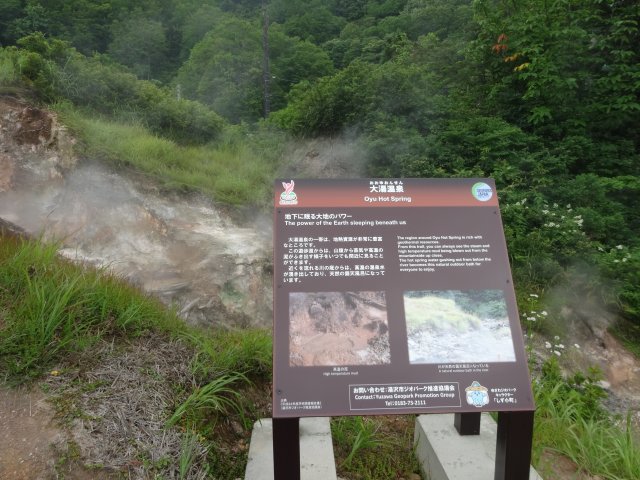 201607-yuhama1.jpg